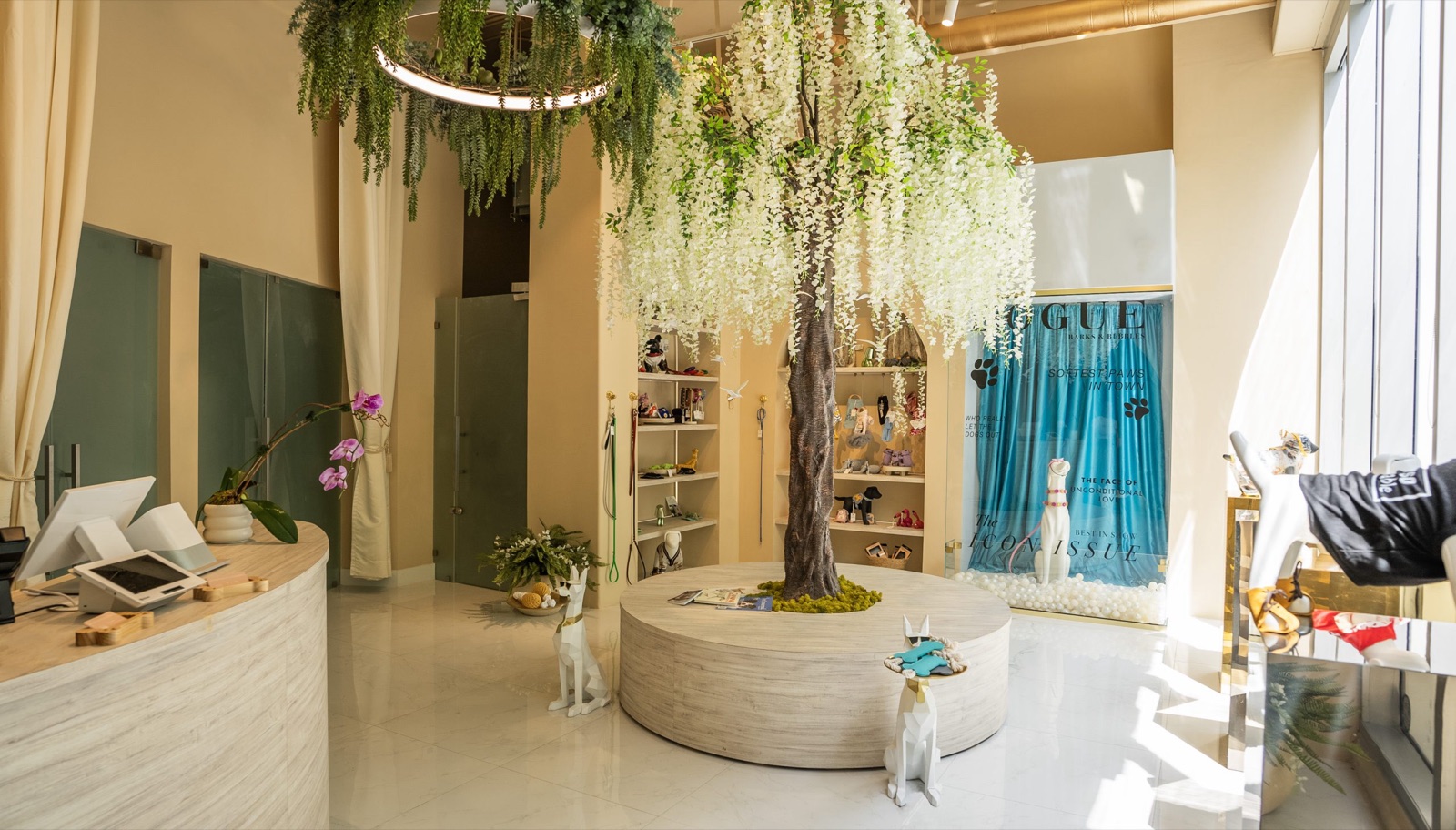 Inside the Barks & Bubbles pet spa in Miami