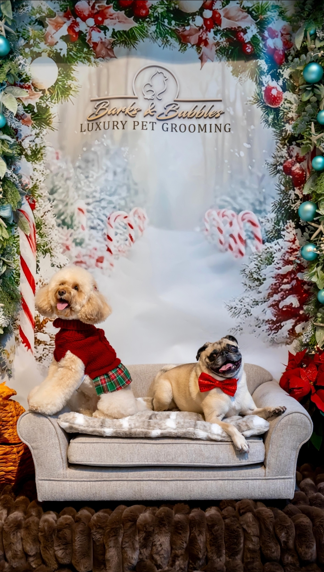 Two dogs posing at the Barks & Bubbles holiday photo booth