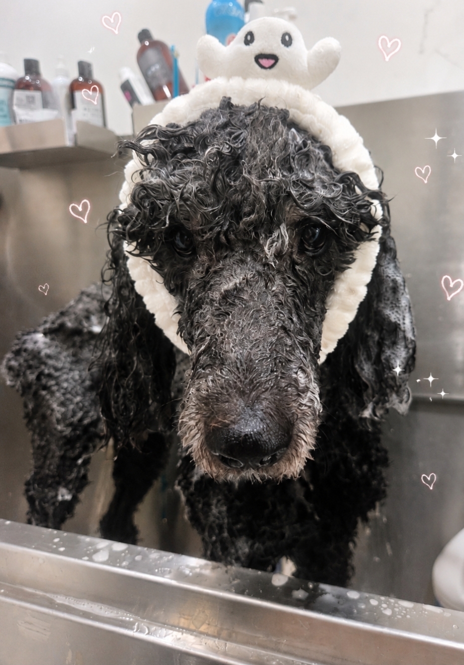 Bathing at Barks & Bubbles