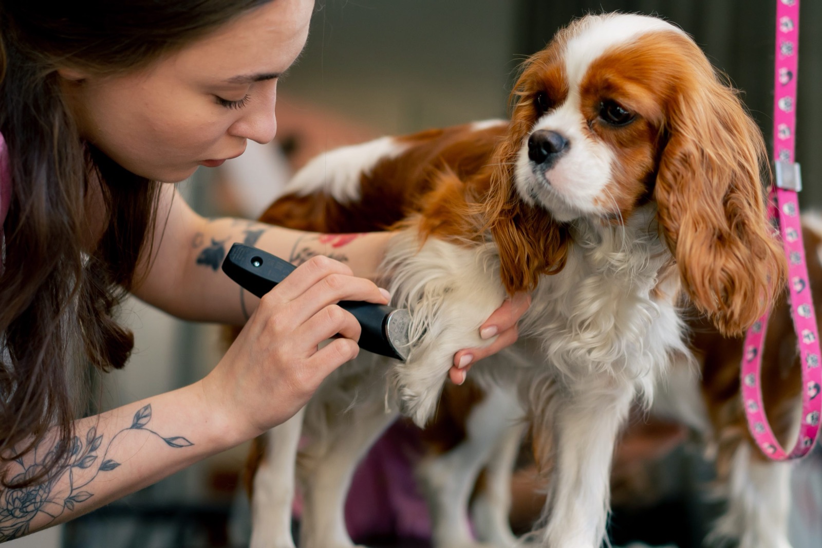 Dental Cleaning — spa detail