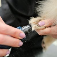 Nail Trimming — happy client