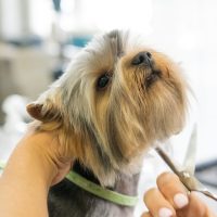 Haircuts — happy client