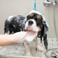 Bathing